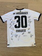 Sandhausen alexander esswein gebraucht kaufen  Taunusstein
