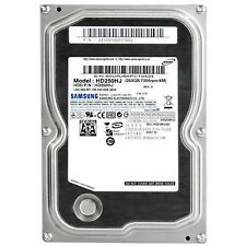 Samsung hd250hj hdd usato  Arezzo