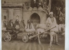 donkey cart for sale donkey cart for sale EDINBURGH