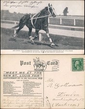 Postcard louis louis gebraucht kaufen  Ortrand