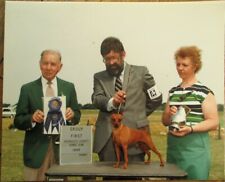Miniature pinscher 1984 for sale  Brentwood