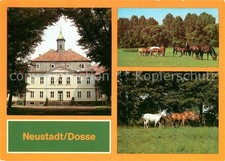 Neustadt dosse hauptgestuet gebraucht kaufen  Deutschland