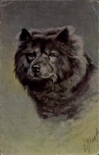 Künstler chow chow gebraucht kaufen Künstler chow chow gebraucht kaufen  Berlin