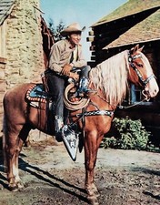 America cowboy roy for sale  Manchester Township