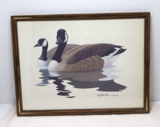 Canadian goose print for sale  Scales Mound