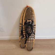 Snow bird g.v. for sale  Newton