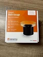 Netatmo misuratore pioggia usato  Spedire a Italy