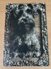 Miniature schnauzer dog for sale  SPALDING