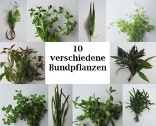 Starter set aquarien gebraucht kaufen  Stolberg (Rhld.)