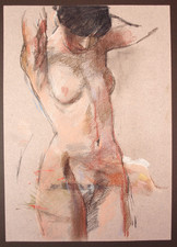 Jeff stultiens coloured for sale  BRISTOL