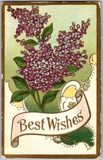 Antique postcard lilac for sale  Wichita