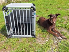 Hundetransportbox 4pets pro3 gebraucht kaufen  Bindlach