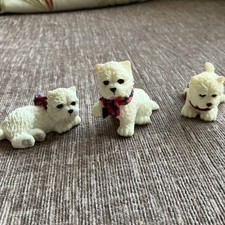 Three little westie for sale  TELFORD