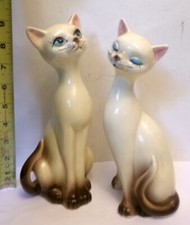 Mcm siamese cats for sale  Minneapolis