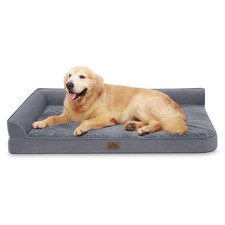 Orthopedic dog beds for sale  Torrington
