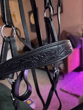 Bitless sidepull leather for sale  INVERNESS