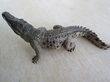 Schleich 14736 krokodil gebraucht kaufen  Ettlingen