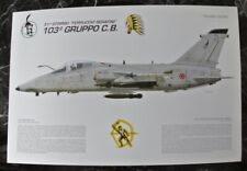 Militaria litografie squadron usato  Roma