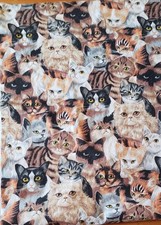 1980 cats kittens for sale  Forest Hills