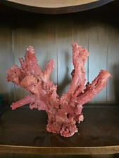 Large beautiful red for sale  Waterville