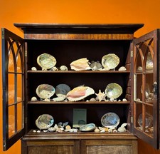 Large collection sea for sale  CHIPPENHAM