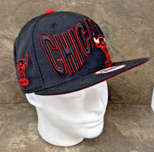 Chicago bulls new for sale  Lancaster