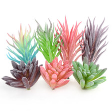 Usado, Suculentas artificiais plásticas planta falsa cacto floral jardim decoração escritório  comprar usado  Enviando para Brazil