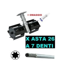 Gruppo zappette per usato  Napoli