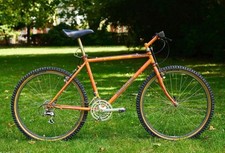 1989 mountain goat for sale  SOUTHAMPTON