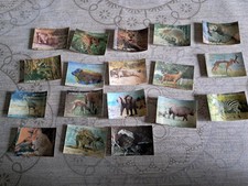 Images lenticulaires roche d'occasion  Monnaie