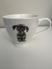Pet shop american for sale  Fremont