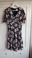stargazer lily for sale stargazer lily for sale PINNER