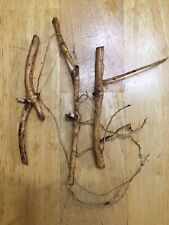 Start year crop for sale  Atlanta