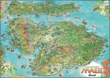 1979 map maui for sale  Clarkston