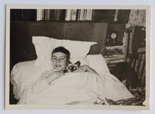 Boy cat bed d'occasion  Expédié en Belgium