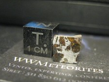 Gyarub zangbo pallasite d'occasion  Expédié en Belgium