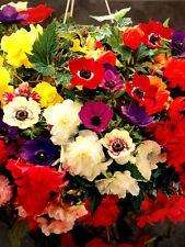 Hanging basket bulbs for sale  MELTON MOWBRAY