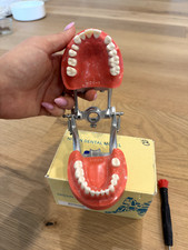 Dentoform fixo Kilgore MCG-1 (modelo dental Nissan) comprar usado  Enviando para Brazil