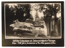 Fotografie thüringen riesiger gebraucht kaufen  Berlin