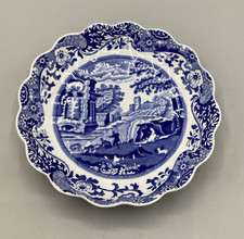 Rare spode england for sale  Hayden