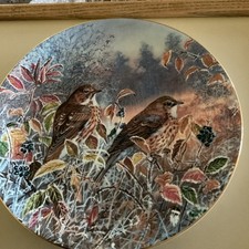 Song thrushes coalport for sale  FOCHABERS
