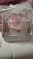 Bomboniere rosa stabilizzata usato  Sarezzo