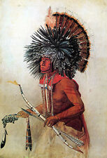 Indian portrait 15x22 for sale  Cambria