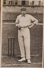 Cricket printed postcard for sale  RYE