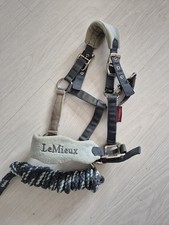 Lemieux pony headcollar for sale  SHANKLIN