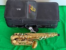 Expression alt alto gebraucht kaufen  Berlin