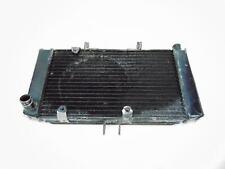 Radiatore acqua suzuki usato  Italia