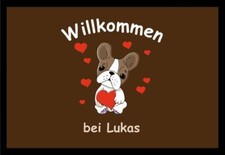 Fußmatte schmutzfangmatte wil gebraucht kaufen  Limbach-Oberfrohna