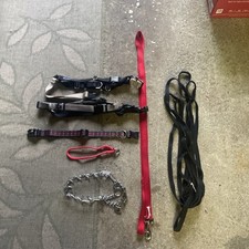 collars leashes dog for sale collars leashes dog for sale Chelmsford