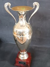 Trofeo coppa classificato usato  Italia